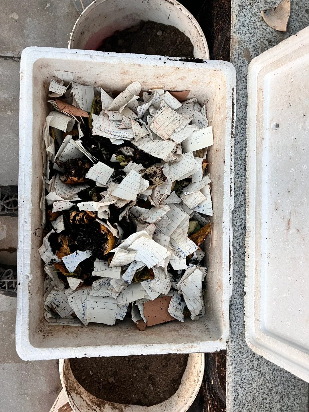 Detailed steps for composting Crown Win cardboard boxes | Sustainable packaging waste management